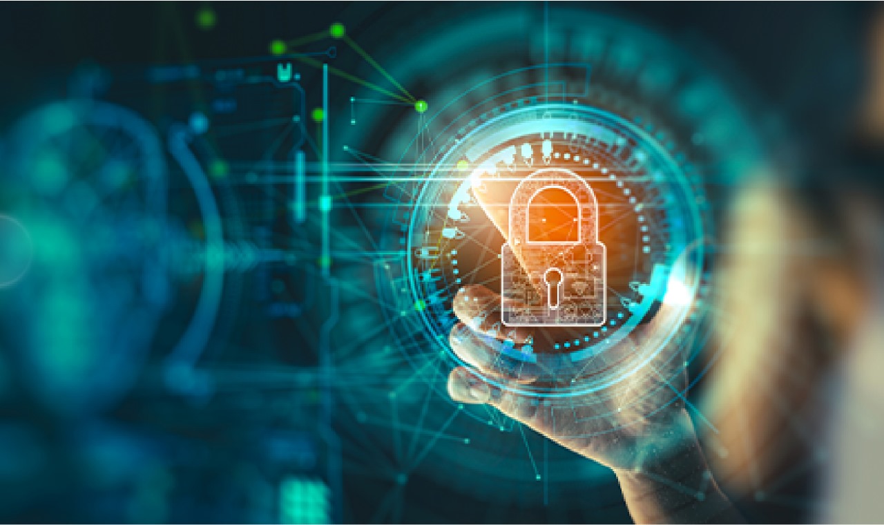 Security and Transparency: Why Optima Returns Stands Out in a World of Fraud